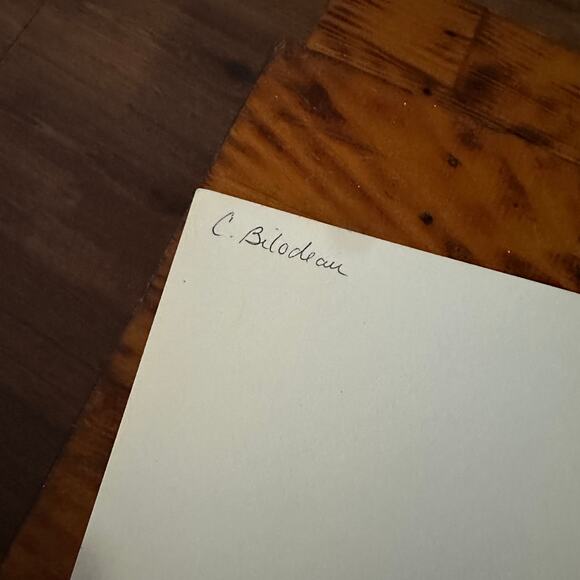 Vintage 1993 Eric Carle The Hole In The Dike Paperback Book - Picture 3 of 9